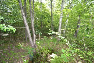 96 Lane Road, Holderness, NH 03245 - Photo 16