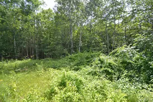 96 Lane Rd, Holderness, NH 03245 - Photo 14