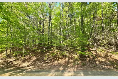 00 Isaac Fox Drive, Campton, NH 03223 - Photo 1