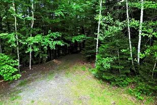 16 Griffin Rd, Stewartstown, NH 03576 - Photo 6
