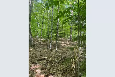 11-6-4 Reservoir Road, Campton, NH 03223 - Photo 1