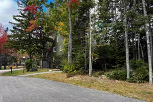 45 Klosters Way, Waterville Valley, NH 03215 - Photo 36