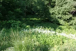 421 Bradley Hill Rd, Benton, NH 03785 - Photo 22
