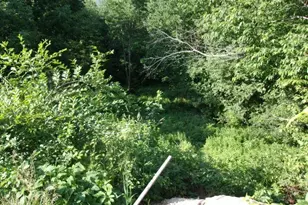 421 Bradley Hill Rd, Benton, NH 03785 - Photo 24