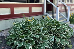 146 N Main St, Wolfeboro, NH 03894 - Photo 44