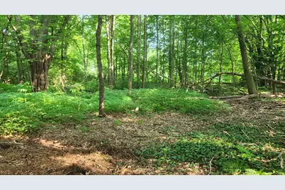 Towle Avenue #Map 161 Lot 44, Hampton, NH 03842 - Photo 8