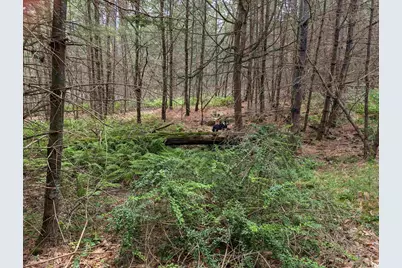 70 High Ridge Road, Moultonborough, NH 03254 - Photo 34
