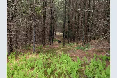 70 High Ridge Road, Moultonborough, NH 03254 - Photo 36