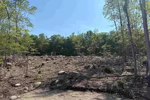10 Sugar Loaf Dr, Ossipee, NH 03814 - Photo 1