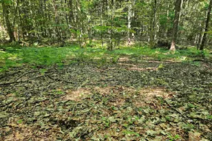 234 Old Cheshire Turnpike, Walpole, NH 03608 - Photo 1