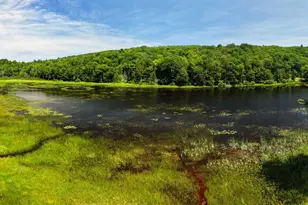 124 Brock Hill Rd, Bridgewater, NH 03222 - Photo 2