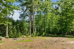 41 Beaver Pond Rd, Moultonborough, NH 03254 - Photo 28