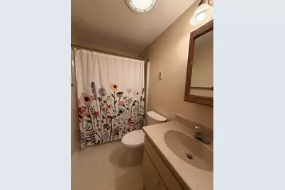 28 Tyler Spring Way #21, Waterville Valley, NH 03215 - Photo 42