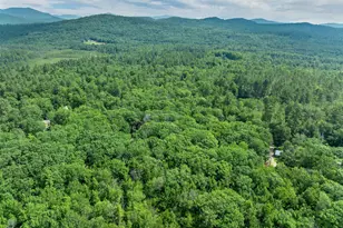 1099 Washington Hill Rd, Tamworth, NH 03875 - Photo 8
