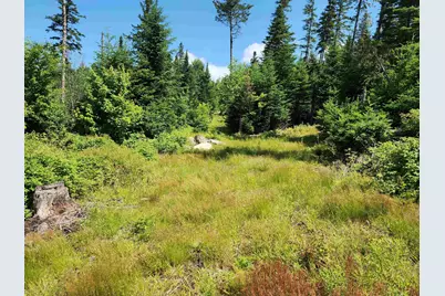 65 Hall Road, Errol, NH 03579 - Photo 10