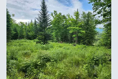 Lot 16 Ginnie Lane #RO2O-0010-0016, Errol, NH 03579 - Photo 20