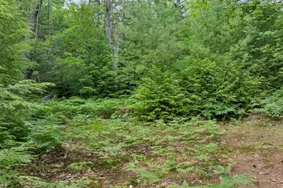 Lot 417-46 Stevens Road #Lot 46 Map417, Effingham, NH 03882 - Photo 26
