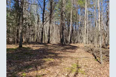 Map 105 Lot 20 Lost River Road, Woodstock, NH 03262 - Photo 4