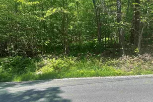 0 Old Province Rd, Newbury, NH 03255 - Photo 4
