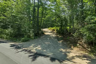 258 Pine River Rd, Effingham, NH 03882 - Photo 38