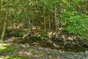 150 Whitewater Brook Rd, Claremont, NH 03743 - Photo 44