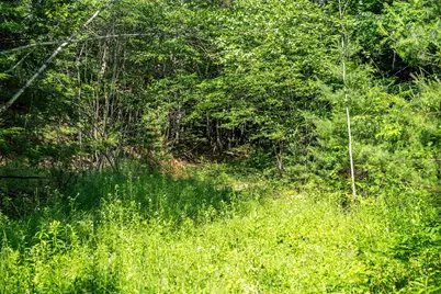 Lot 4.2 Tommy Lot Road, Moultonborough, NH 03254 - Photo 1