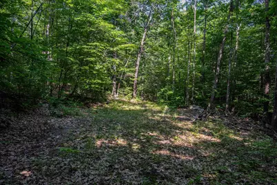 Lot 4.2 Tommy Lot Road, Moultonborough, NH 03254 - Photo 14