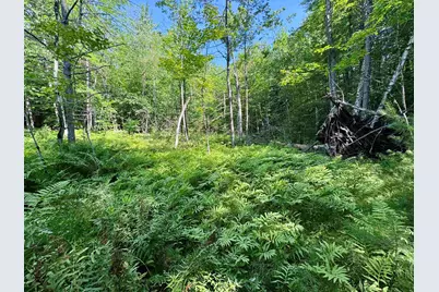 00 Mountain Road, Bath, NH 03740 - Photo 8