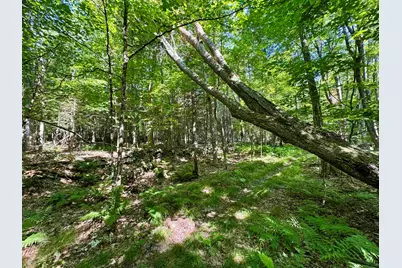 00 Mountain Road, Bath, NH 03740 - Photo 4