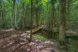 1238 Valley Rd, Washington, NH 03280 - Photo 10