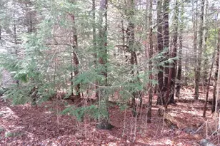 47 Fogg Rd, Epping, NH 03042 - Photo 30