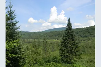 24 Nash Stream Road, Odell, NH 03582 - Photo 38