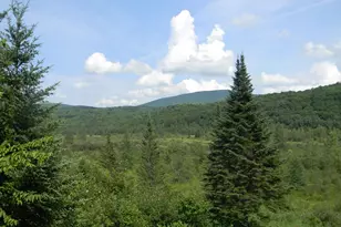 24 Nash Stream Rd, Odell, NH 03582 - Photo 38