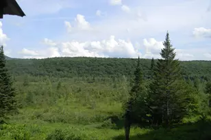 24 Nash Stream Rd, Odell, NH 03582 - Photo 34