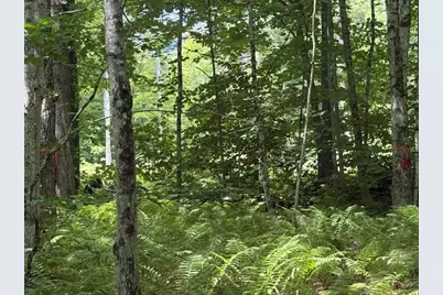 Lot 76-20-1 Sheridan Road, Moultonborough, NH 03254 - Photo 26