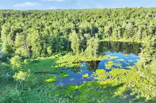 165 W Binney Hill Rd, New Ipswich, NH 03071 - Photo 58