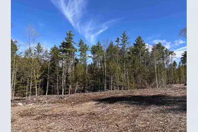 L:64 &amp; 65 Old Turnpike Road, Richmond, NH 03470 - Photo 2