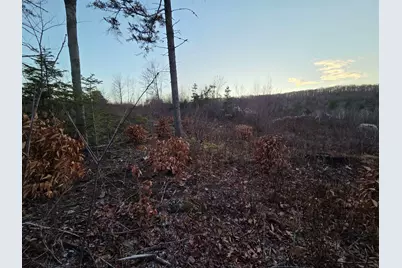 672-5 Bog Road #Lot 5, Enfield, NH 03748 - Photo 2