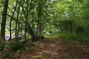 306 Stinson Lake Rd, Rumney, NH 03266 - Photo 8