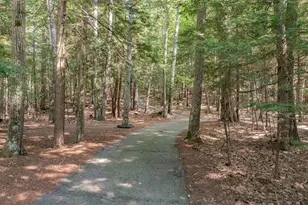149 Merrill Rd, Pittsfield, NH 03263 - Photo 44