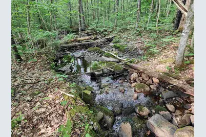 000 Hampshire Woods Loop #R013-0007-0039, Errol, NH 03579 - Photo 2