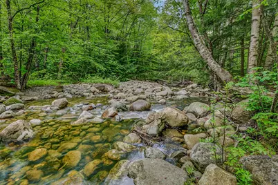 369 Reel Brook Road, Easton, NH 03580 - Photo 4