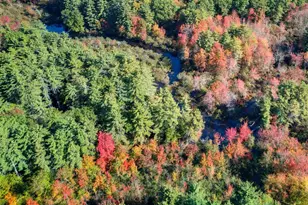 16 Williamsburg Dr, Amherst, NH 03031 - Photo 4