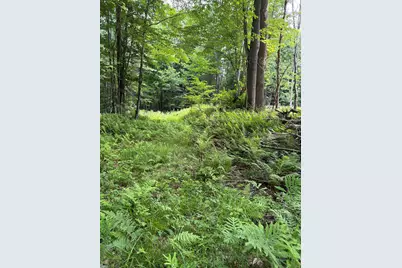 100 Ledge Road, Lisbon, NH 03585 - Photo 2