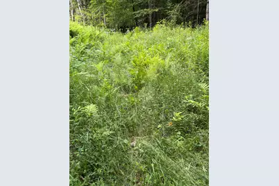 100 Ledge Road, Lisbon, NH 03585 - Photo 8