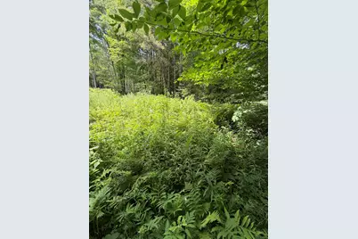100 Ledge &amp; 129 Hodge Hill Road, Lisbon, NH 03585 - Photo 2