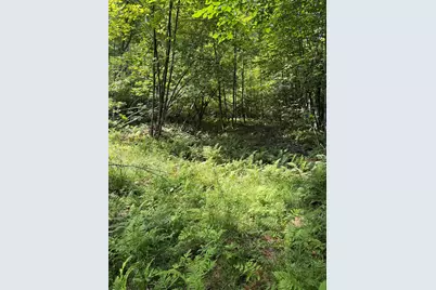 100 Ledge &amp; 129 Hodge Hill Road, Lisbon, NH 03585 - Photo 4