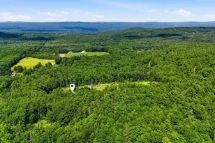 502 Hornetown Rd, Farmington, NH 03835 - Photo 42