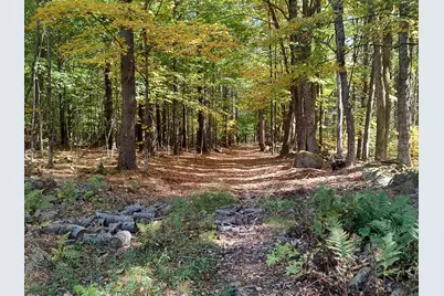 21 Trask Mountain Road, Wolfeboro, NH 03894 - Photo 42