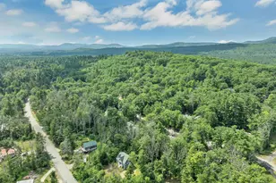 49 Merrill Dr, Conway, NH 03860 - Photo 48